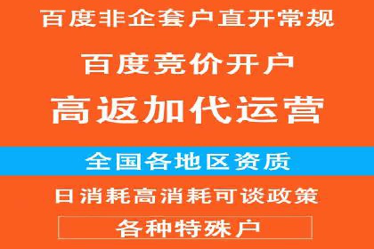 案例分析：百度推广代运营公司在行业中的应用与成效